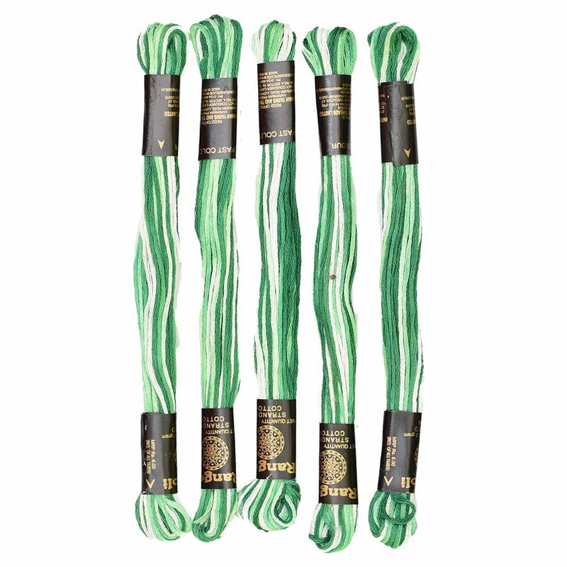 Vardhman Rangoli Embroidery Threads shade no - R6699